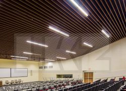 سقف کاذب لوور