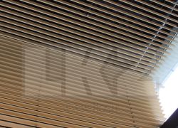 سقف کاذب لوور